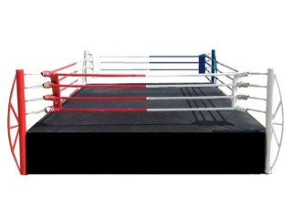 Custom Design Muay Thai Boxing Ring 4 x 4 m